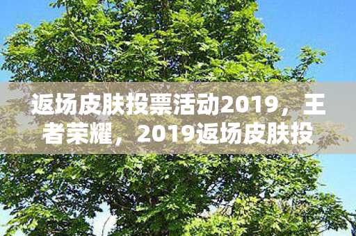 返场皮肤投票活动2019，王者荣耀，2019返场皮肤投票活动，唤醒你的经典记忆