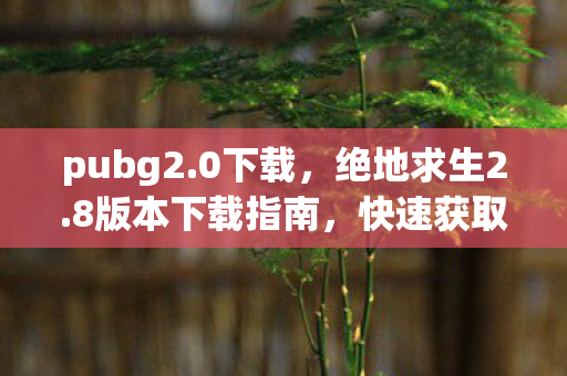 pubg2.0下载，绝地求生2.8版本下载指南，快速获取官方游戏更新
