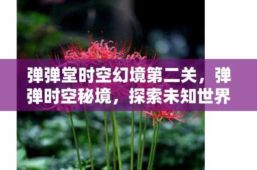 弹弹堂时空幻境第二关，弹弹时空秘境，探索未知世界的奇妙旅程