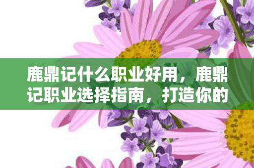 鹿鼎记什么职业好用，鹿鼎记职业选择指南，打造你的江湖之路