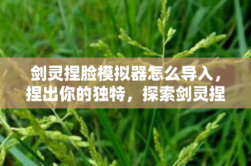 剑灵捏脸模拟器怎么导入，捏出你的独特，探索剑灵捏脸模拟器的无限可能