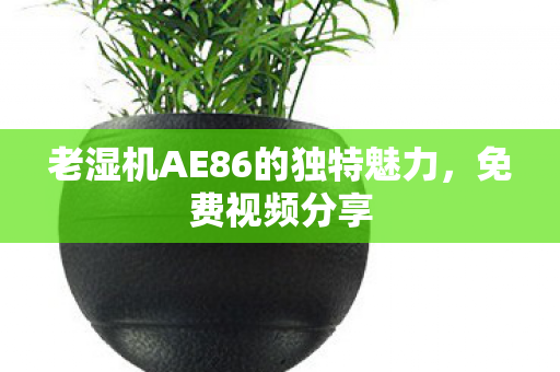 老湿机AE86的独特魅力，免费视频分享