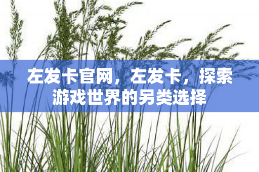 左发卡官网，左发卡，探索游戏世界的另类选择