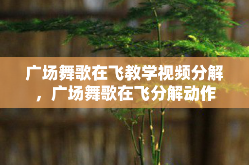 广场舞歌在飞教学视频分解，广场舞歌在飞分解动作
