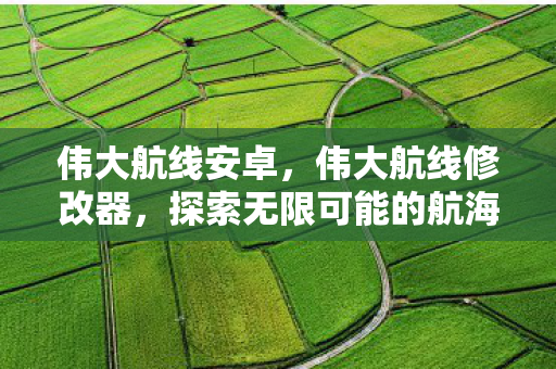 伟大航线安卓，伟大航线修改器，探索无限可能的航海之旅