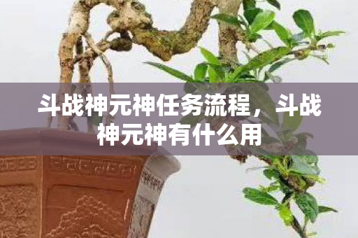 斗战神元神任务流程，斗战神元神有什么用