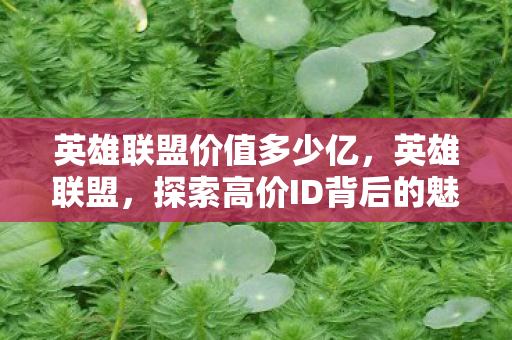 英雄联盟价值多少亿，英雄联盟，探索高价ID背后的魅力与策略