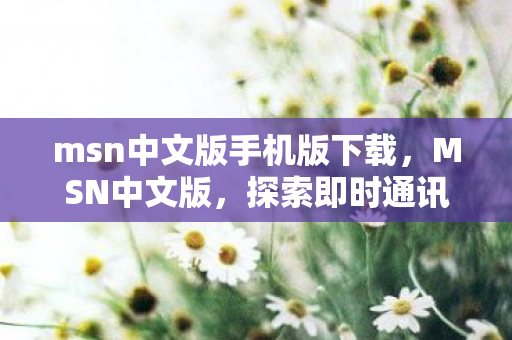 msn中文版手机版下载，MSN中文版，探索即时通讯的无限可能