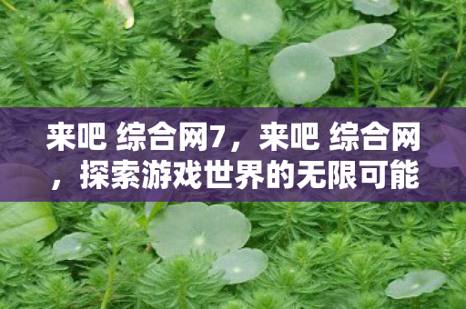 来吧 综合网7，来吧 综合网，探索游戏世界的无限可能