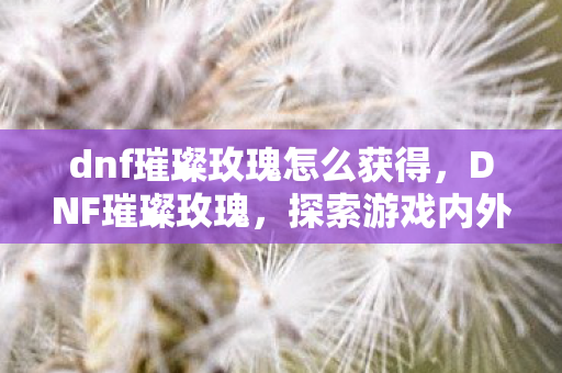dnf璀璨玫瑰怎么获得，DNF璀璨玫瑰，探索游戏内外的浪漫与激情