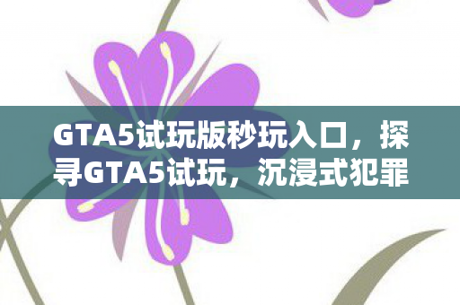 GTA5试玩版秒玩入口，探寻GTA5试玩，沉浸式犯罪体验与自由度的极致展现