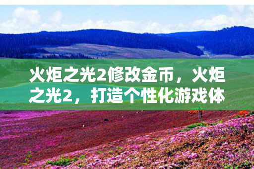 火炬之光2修改金币，火炬之光2，打造个性化游戏体验的修改金攻略