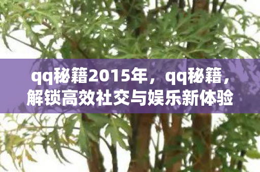 qq秘籍2015年，qq秘籍，解锁高效社交与娱乐新体验