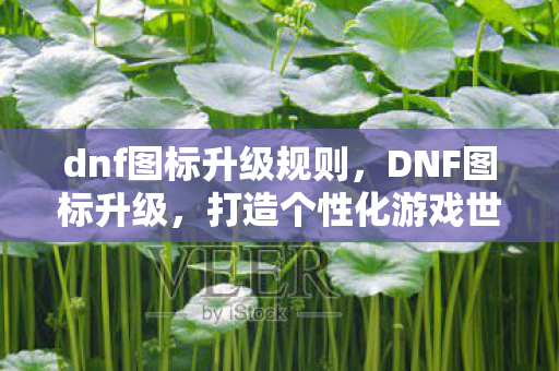 dnf图标升级规则，DNF图标升级，打造个性化游戏世界