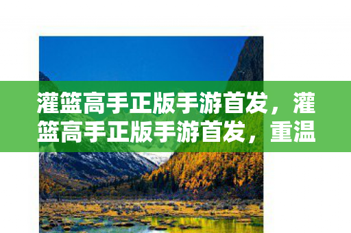 灌篮高手正版手游首发，灌篮高手正版手游首发，重温经典，再现热血篮球梦