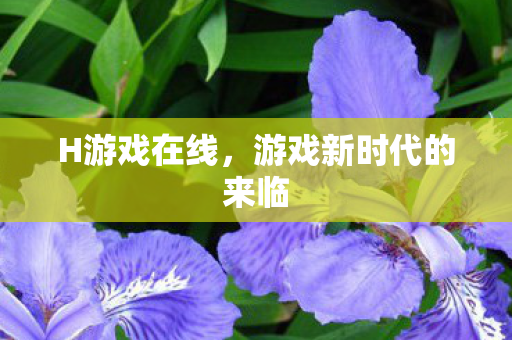 H游戏在线，游戏新时代的来临