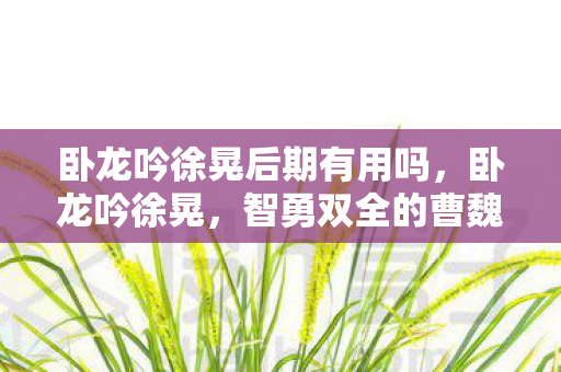 卧龙吟徐晃后期有用吗，卧龙吟徐晃，智勇双全的曹魏名将