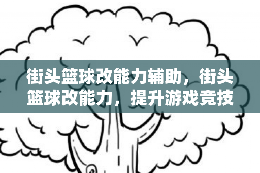 街头篮球改能力辅助，街头篮球改能力，提升游戏竞技水平的秘密武器