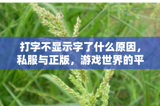 打字不显示字了什么原因，私服与正版，游戏世界的平行宇宙