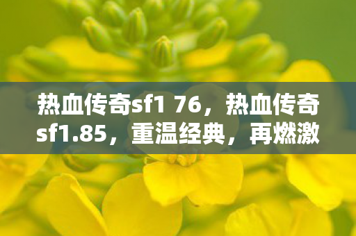 热血传奇sf1 76，热血传奇sf1.85，重温经典，再燃激情