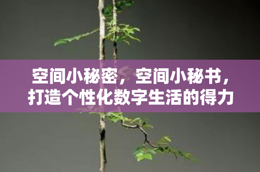 空间小秘密，空间小秘书，打造个性化数字生活的得力助手
