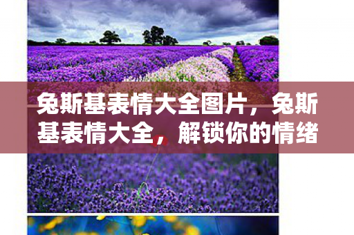 兔斯基表情大全图片，兔斯基表情大全，解锁你的情绪表达新方式