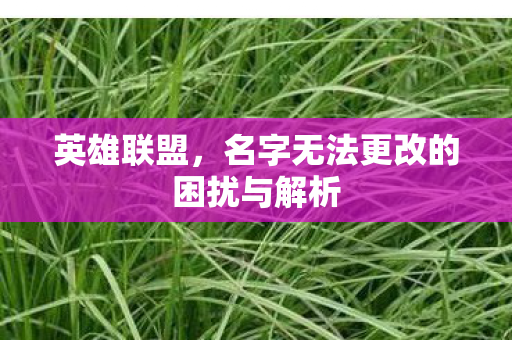 英雄联盟,名字无法更改的困扰与解析 英雄联盟,名字无法更改的困扰与解析