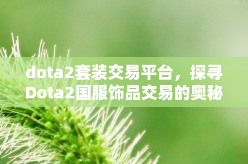 dota2套装交易平台，探寻Dota2国服饰品交易的奥秘
