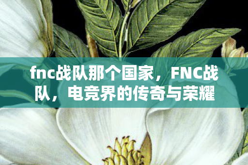 fnc战队那个国家，FNC战队，电竞界的传奇与荣耀
