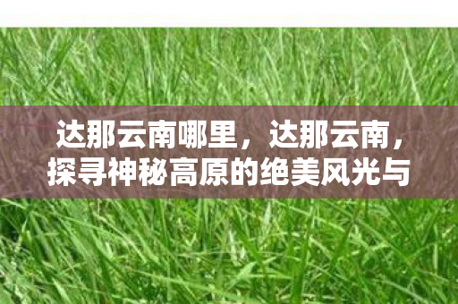 达那云南哪里，达那云南，探寻神秘高原的绝美风光与文化底蕴