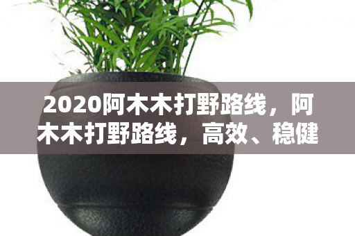 2020阿木木打野路线，阿木木打野路线，高效、稳健的打野新策略