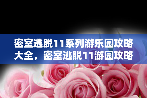 密室逃脱11系列游乐园攻略大全，密室逃脱11游园攻略大全集