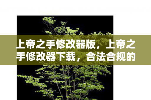 上帝之手修改器版，上帝之手修改器下载，合法合规的娱乐工具