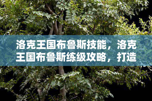 洛克王国布鲁斯技能，洛克王国布鲁斯练级攻略，打造最强宠物