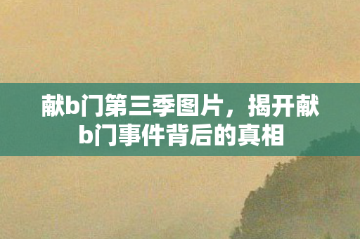 献b门第三季图片，揭开献b门事件背后的真相