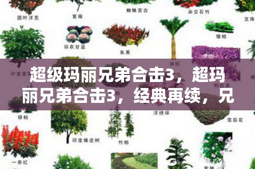 超级玛丽兄弟合击3，超玛丽兄弟合击3，经典再续，兄弟并肩再战！