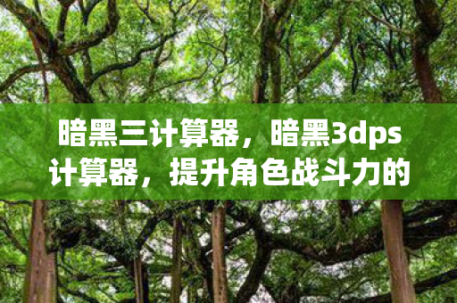 暗黑三计算器，暗黑3dps计算器，提升角色战斗力的科学工具