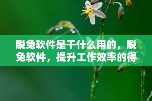 脱兔软件是干什么用的，脱兔软件，提升工作效率的得力助手