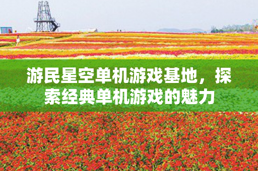 游民星空单机游戏基地，探索经典单机游戏的魅力