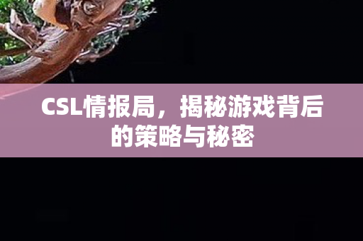 CSL情报局，揭秘游戏背后的策略与秘密