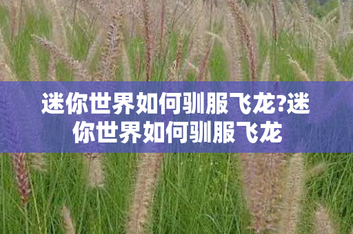 迷你世界如何驯服飞龙?迷你世界如何驯服飞龙