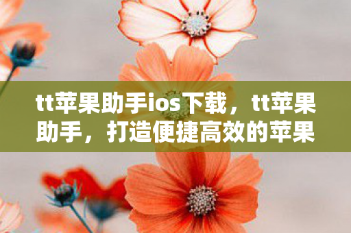 tt苹果助手ios下载，tt苹果助手，打造便捷高效的苹果设备管理工具