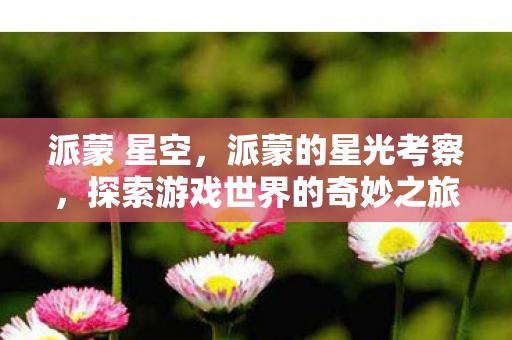 派蒙 星空，派蒙的星光考察，探索游戏世界的奇妙之旅