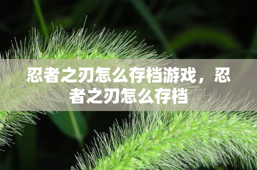 忍者之刃怎么存档游戏，忍者之刃怎么存档