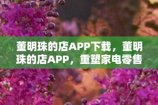 董明珠的店APP下载，董明珠的店APP，重塑家电零售新生态