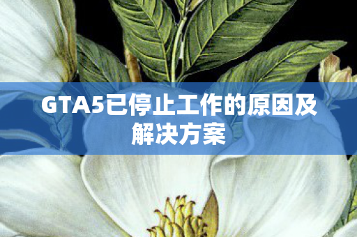 GTA5已停止工作的原因及解决方案