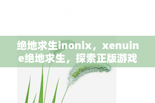 绝地求生inonix，xenuine绝地求生，探索正版游戏的魅力与未来