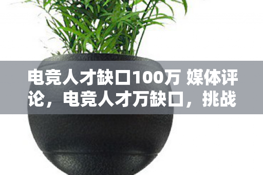 电竞人才缺口100万 媒体评论，电竞人才万缺口，挑战与机遇并存