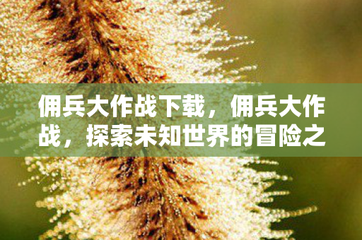 佣兵大作战下载，佣兵大作战，探索未知世界的冒险之旅