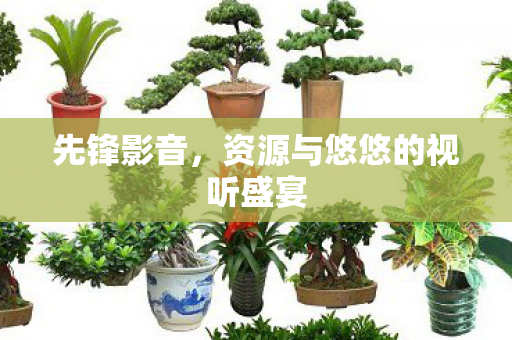 先锋影音，资源与悠悠的视听盛宴